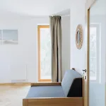 Familyvilla, New 4 Luxury Big Apartments, Parking Lejlighed Prag