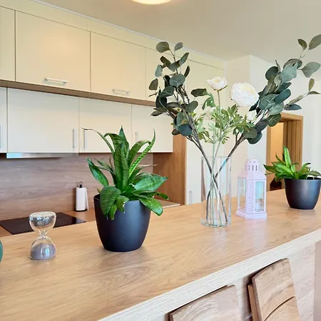 Familyvilla, New 4 Luxury Big Apartments, Parking Apartment Prague