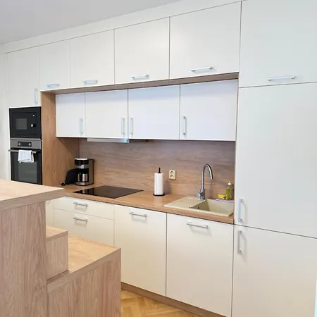 Familyvilla, New 4 Luxury Big Apartments, Parking Apartment Prague
