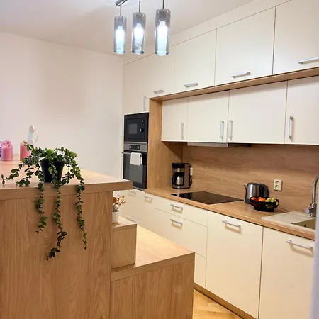Familyvilla, New 4 Luxury Big Apartments, Parking Appartement Prague