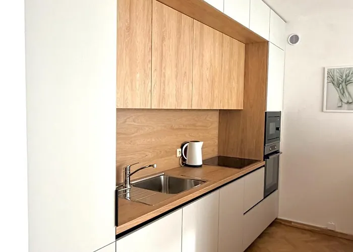 Familyvilla, New 4 Luxury Big Apartments, Parking *