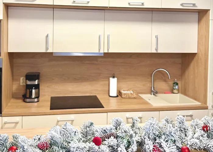 Familyvilla, New 4 Luxury Big Apartments, Parking * Prag